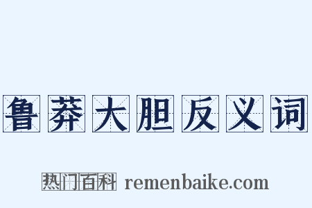 鲁莽大胆反义词是什么意思的图片